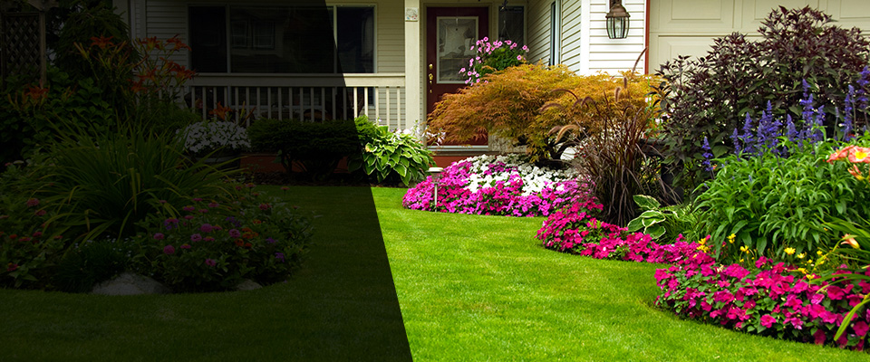 Pine Landscapers