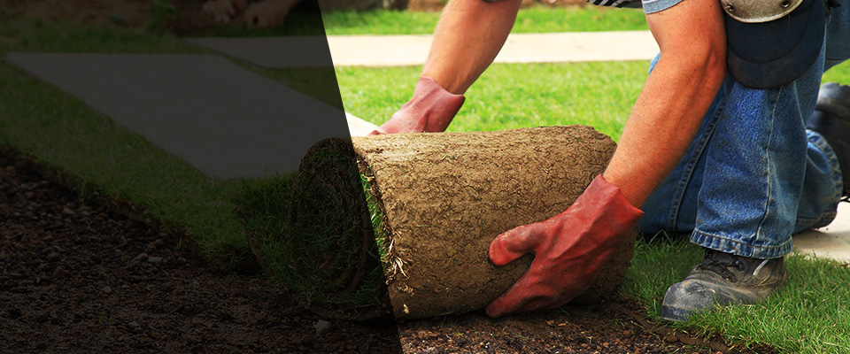 Pine Landscapers